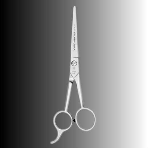 Filarmonica Stylist Hairdressing Scissors 6.5″ | 18061